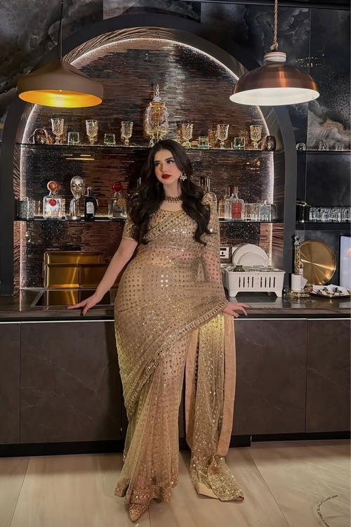 Butterfly Soft Net Saree