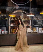 Butterfly Soft Net Saree